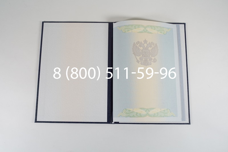 Диплом о высшем образовании 2010-2011 годов в Ростове-на-Дону