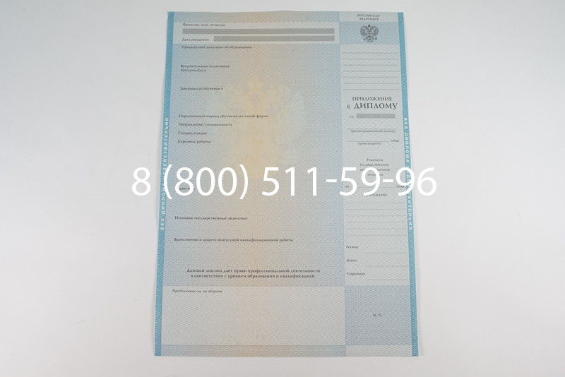 Диплом о высшем образовании 2010-2011 годов в Ростове-на-Дону