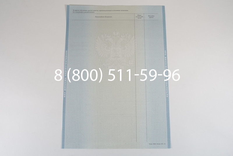 Диплом о высшем образовании 2012-2013 годов в Ростове-на-Дону