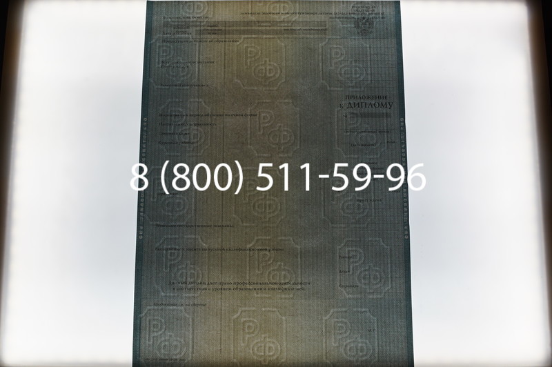 Заказать Диплом о высшем образовании 2012-2013 годов в Ростове-на-Дону