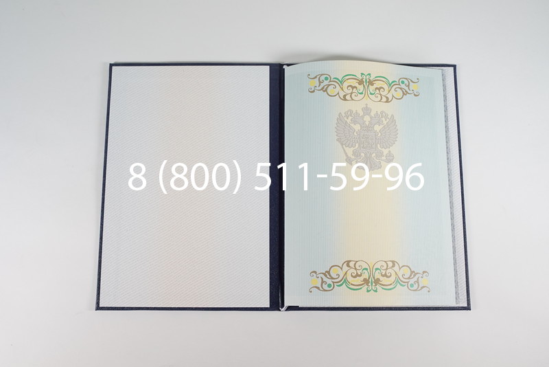 Диплом о высшем образовании 2012-2013 годов в Ростове-на-Дону