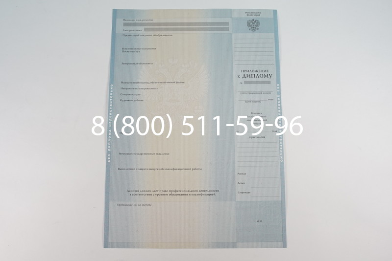 Диплом о высшем образовании 2012-2013 годов в Ростове-на-Дону