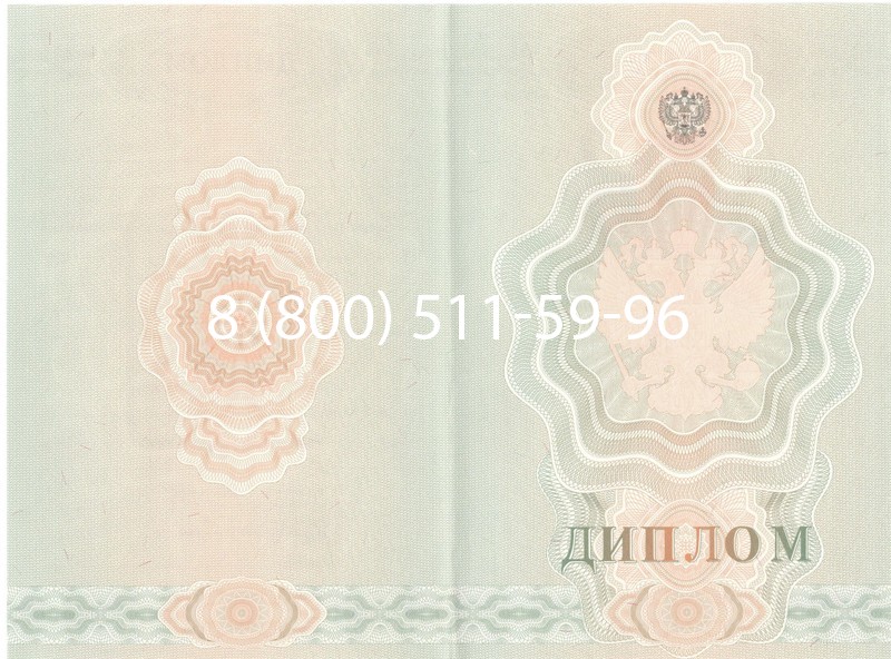 Купить Диплом ПТУ 2007-2010 годов в Ростове-на-Дону