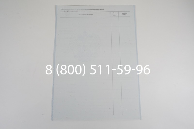 Диплом ПТУ 2007-2010 годов в Ростове-на-Дону