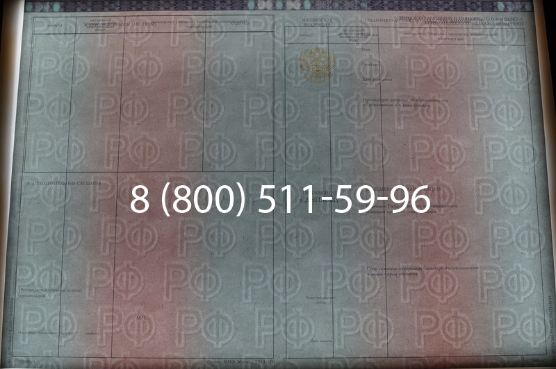 Заказать Диплом специалиста 2014-2026 года в Ростове-на-Дону