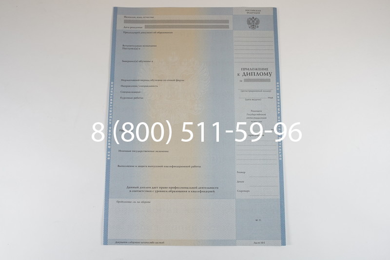 Диплом специалиста 1997-2002 годов в Ростове-на-Дону