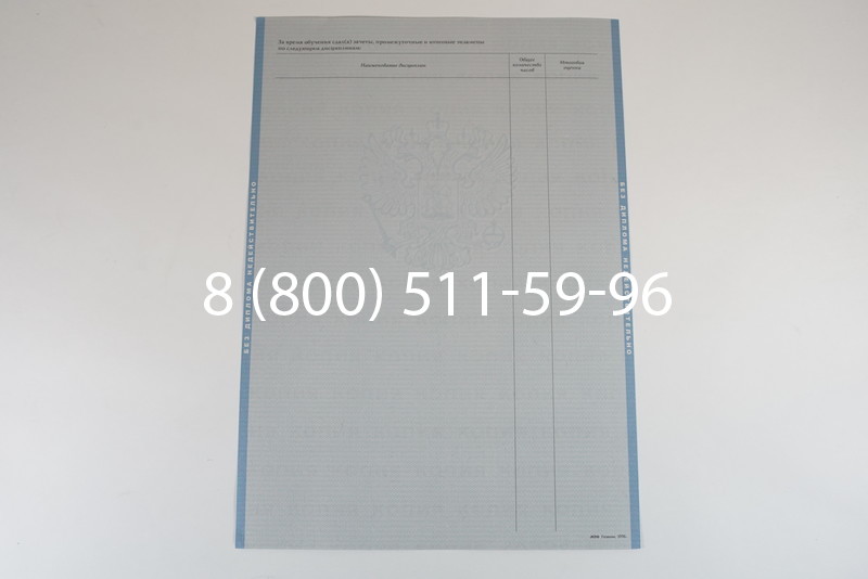 Диплом специалиста 2003-2009 годов в Ростове-на-Дону