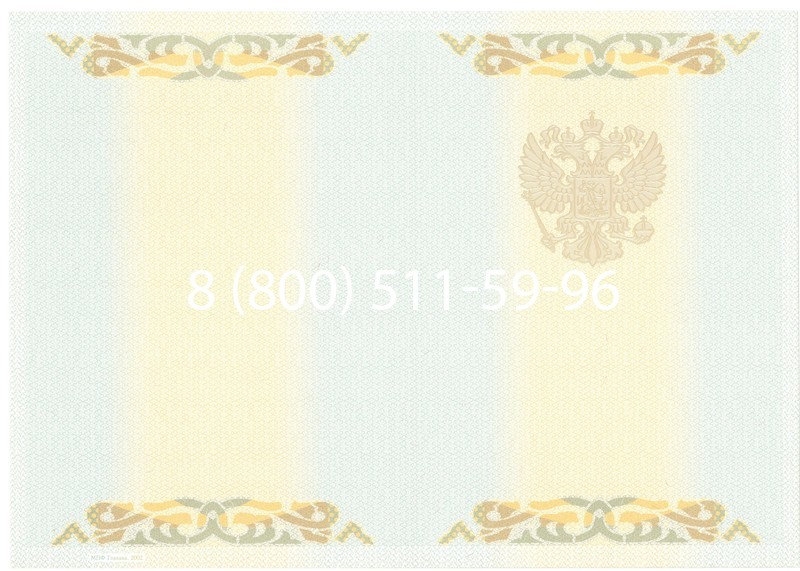 Заказать Диплом специалиста 2003-2009 годов в Ростове-на-Дону