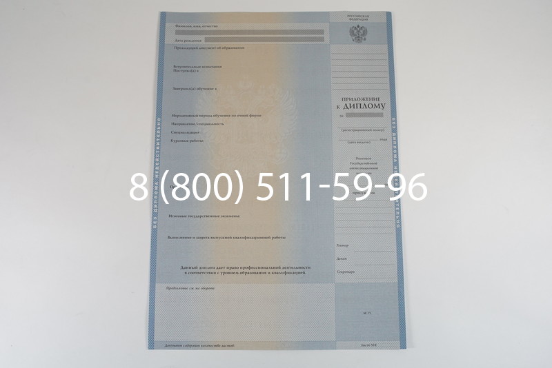 Диплом специалиста 2003-2009 годов в Ростове-на-Дону
