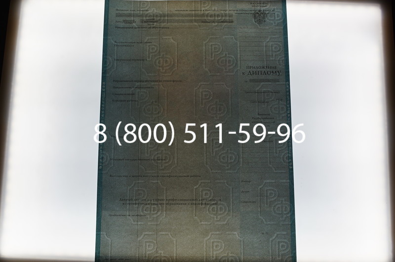 Заказать Диплом специалиста 2010-2011 годов в Ростове-на-Дону