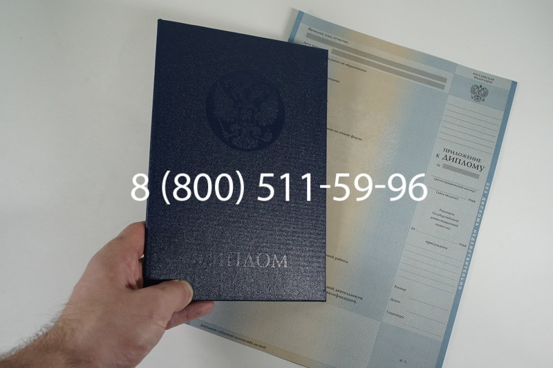 Диплом специалиста 2010-2011 годов в Ростове-на-Дону