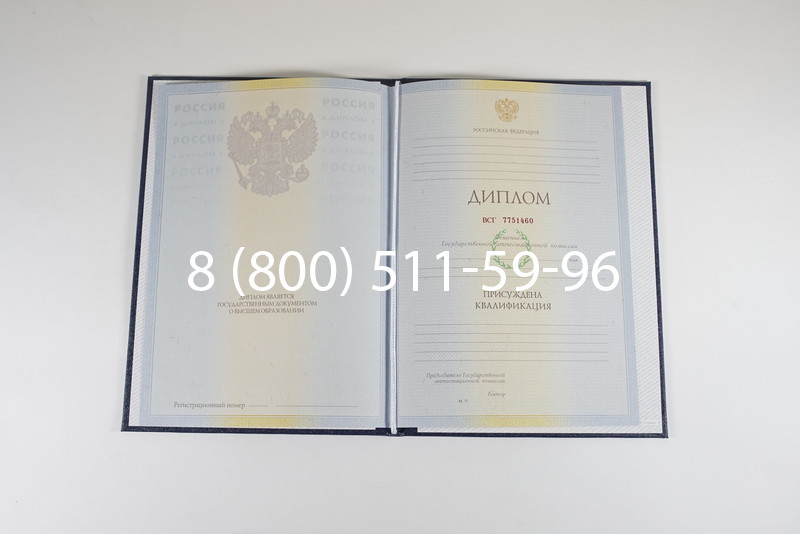 Диплом специалиста 2010-2011 годов в Ростове-на-Дону