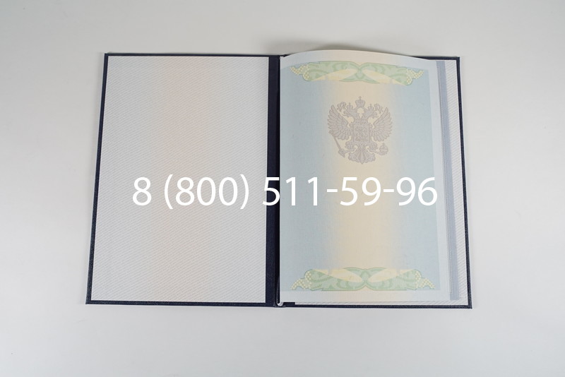 Диплом специалиста 2010-2011 годов в Ростове-на-Дону