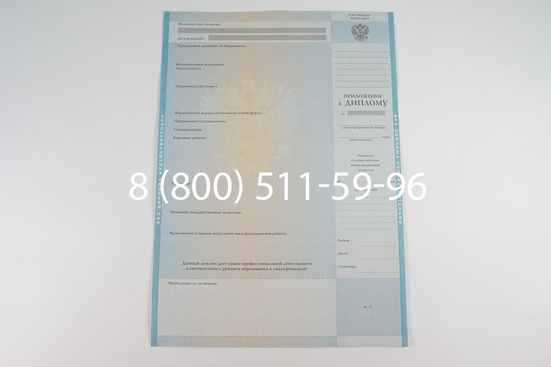 Диплом специалиста 2010-2011 годов в Ростове-на-Дону