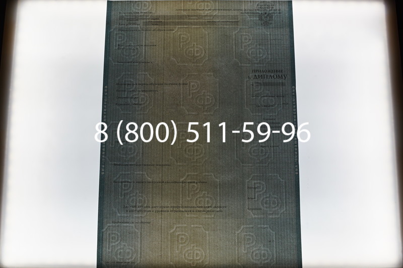 Заказать Диплом специалиста 2012-2013 годов в Ростове-на-Дону