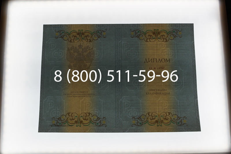 Заказать Диплом специалиста 2012-2013 годов в Ростове-на-Дону