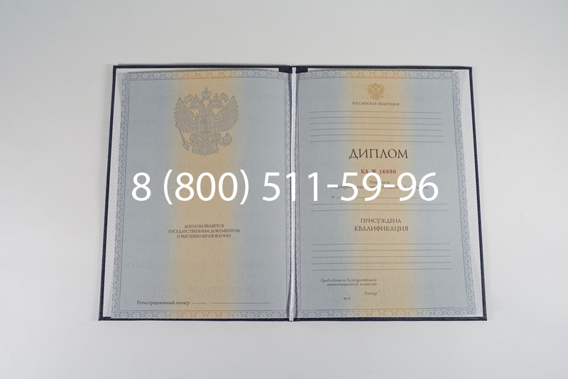 Диплом специалиста 2012-2013 годов в Ростове-на-Дону