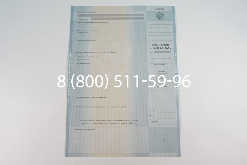 Диплом специалиста 2012-2013 годов в Ростове-на-Дону