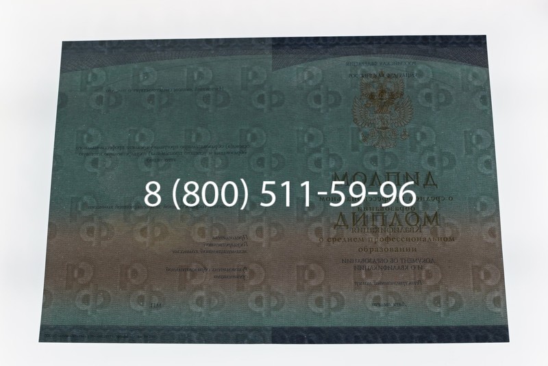 Диплом техникума (Спецбланк) 2014-2026 года в Ростове-на-Дону