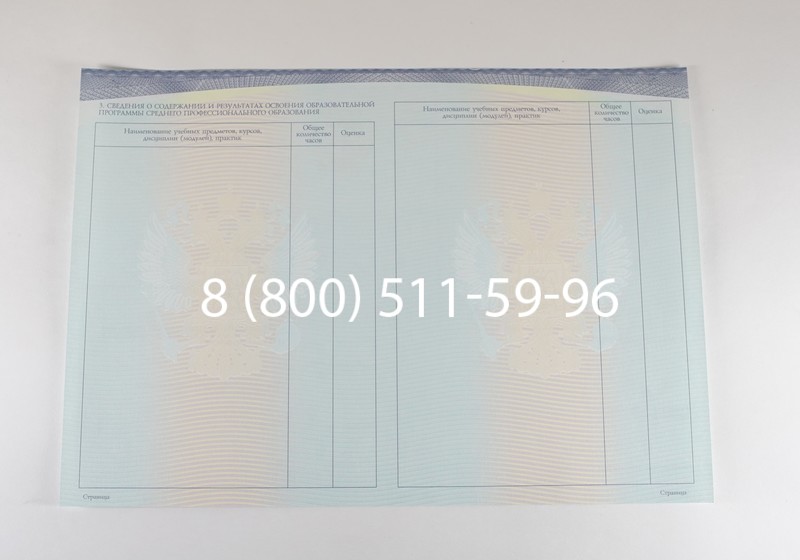 Диплом техникума (Спецбланк) 2014-2026 года в Ростове-на-Дону