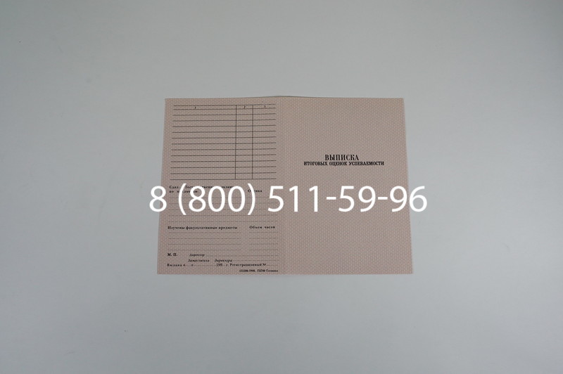 Диплом училища 1995-2006 годов в Ростове-на-Дону