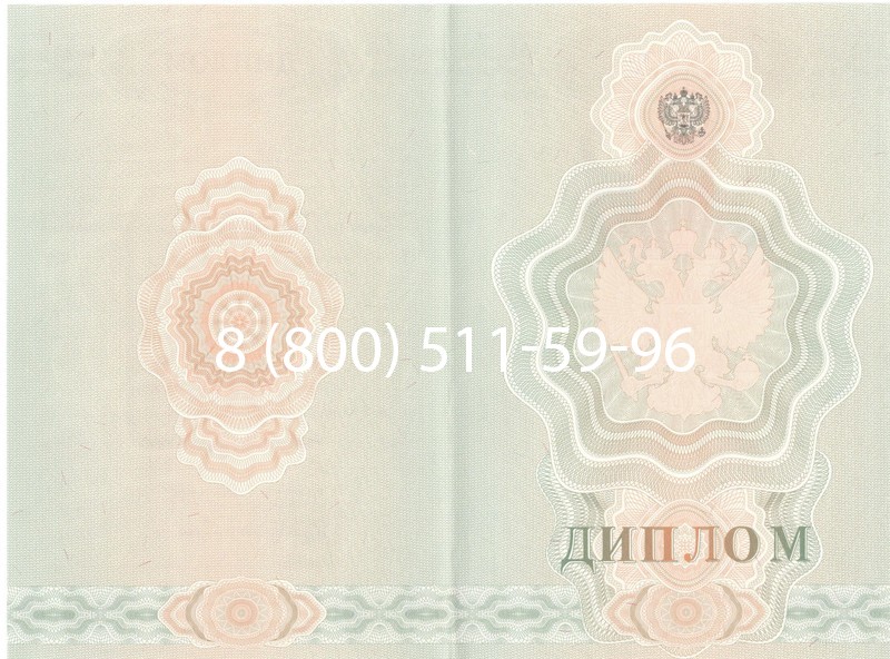 Купить Диплом училища 2007-2009 годов в Ростове-на-Дону