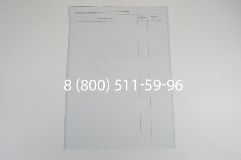 Диплом училища 2007-2009 годов в Ростове-на-Дону