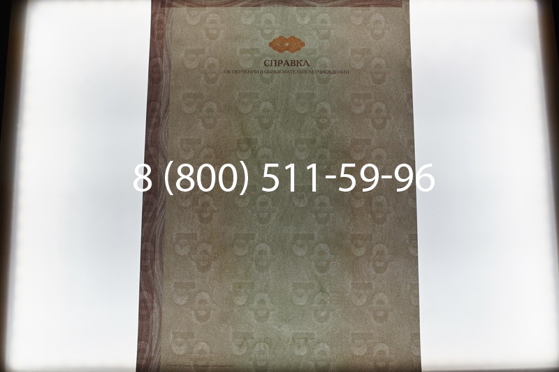 Купить Справка об обучении в Ростове-на-Дону