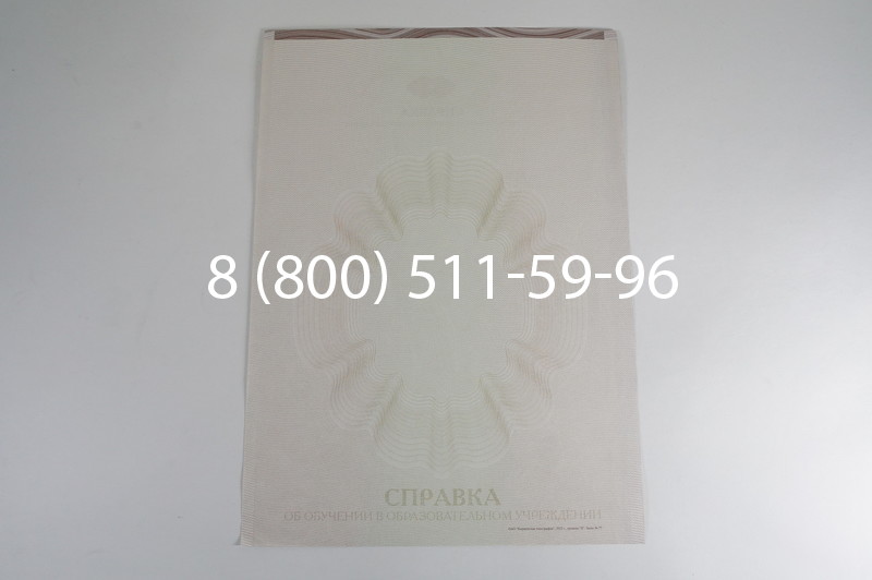 Заказать Справка об обучении в Ростове-на-Дону